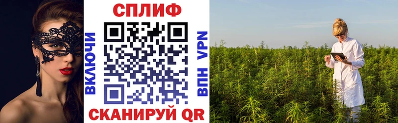 Купить наркоту Приморско-Ахтарск МАРИХУАНА APVP Гашиш
