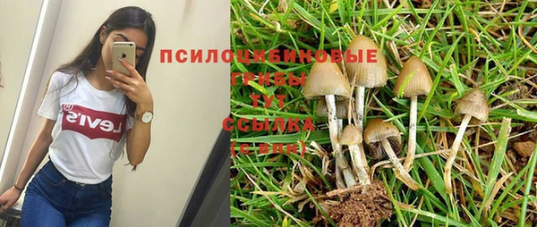 каннабис Аркадак