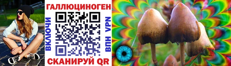 KRAKEN зеркало  Приморско-Ахтарск  Галлюциногенные грибы GOLDEN TEACHER 