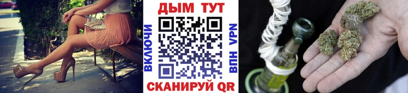 Бошки Шишки план  Приморско-Ахтарск 